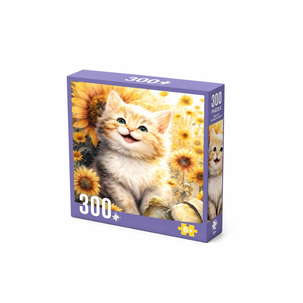 ROMPECABEZAS X300PCS