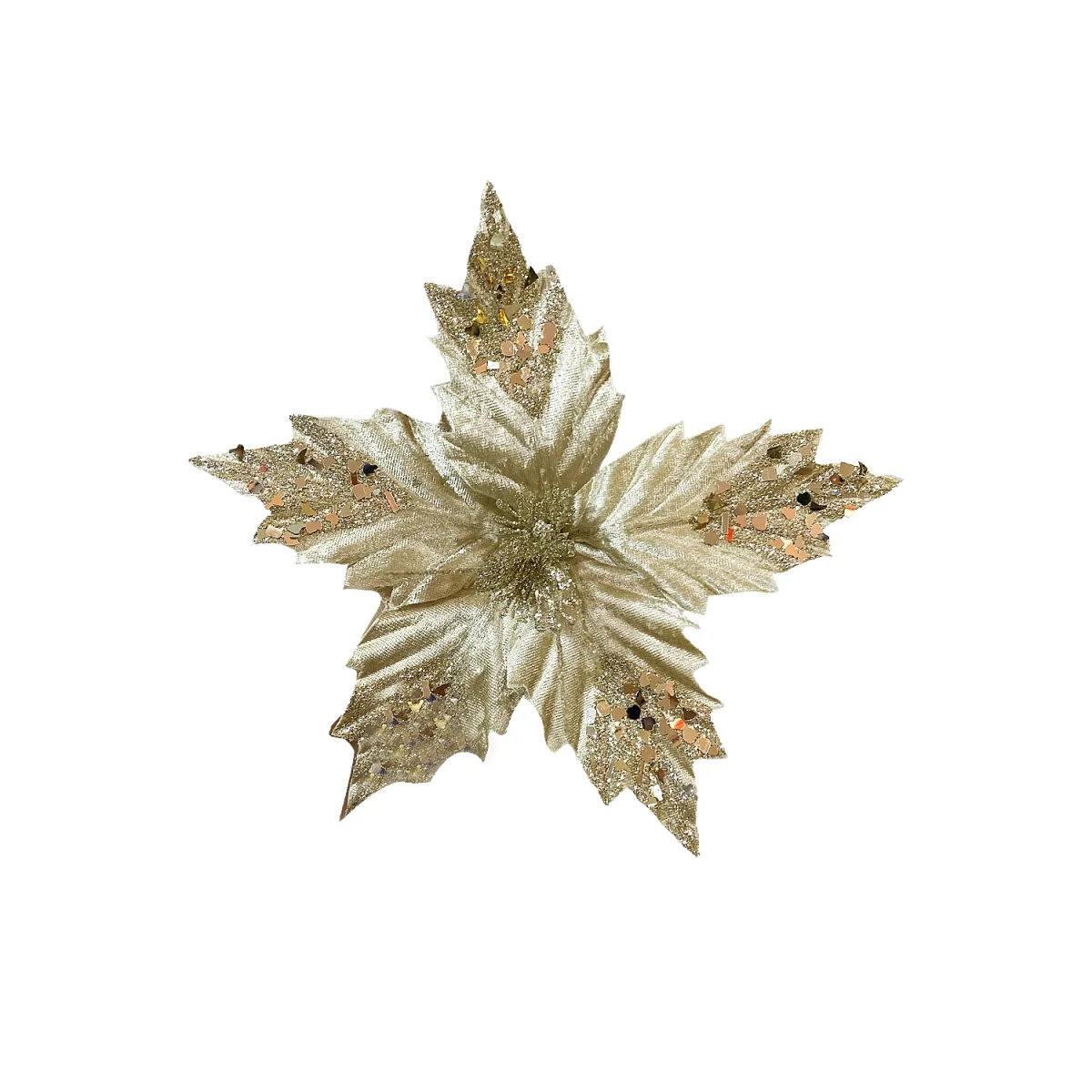 FLOR NAVIDEÑA CHAMPAÑA (BDJX120)