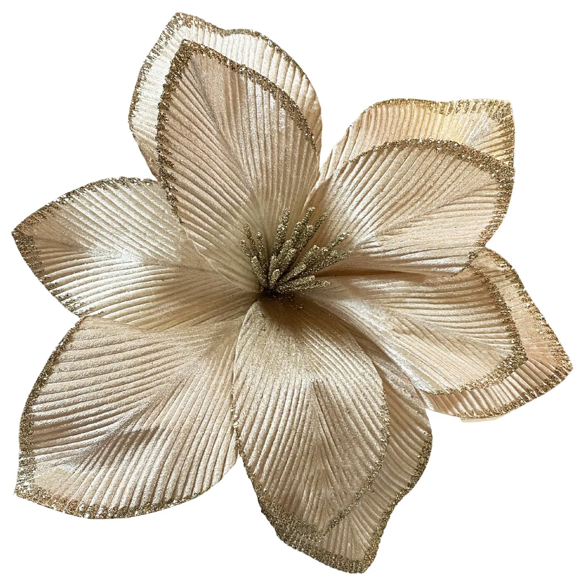 FLOR NAVIDEÑA CHAMPAÑA (BDJX60)