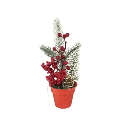 ADORNO PLANTAS NAVIDEÑAS EN MATERA