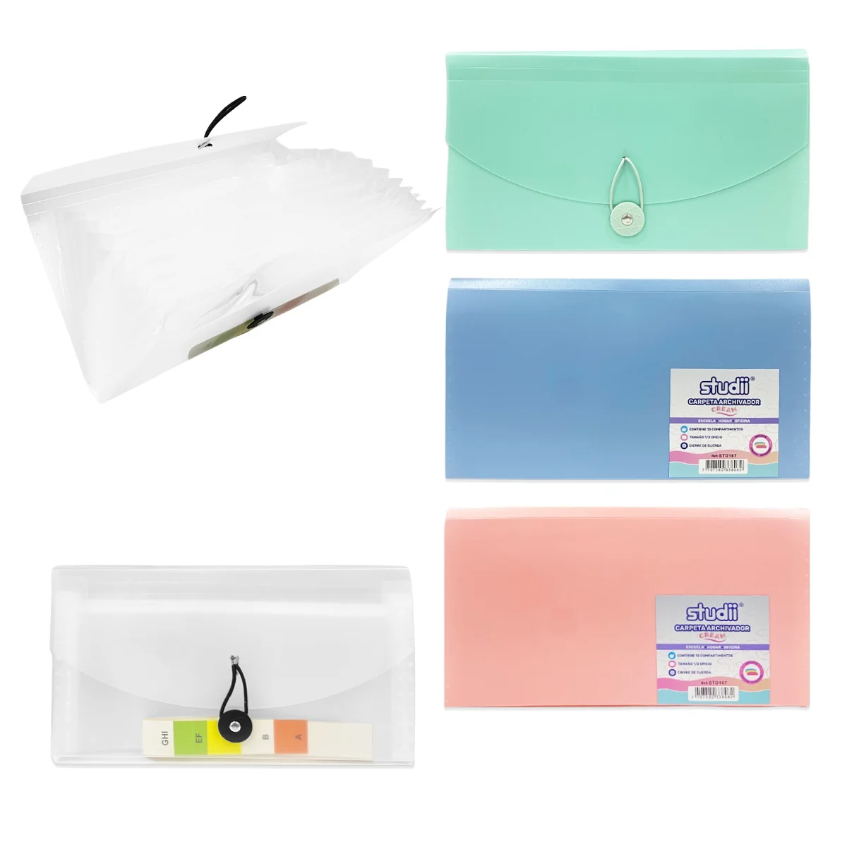 CARPETA 13 COMPARTIMIENTOS B6