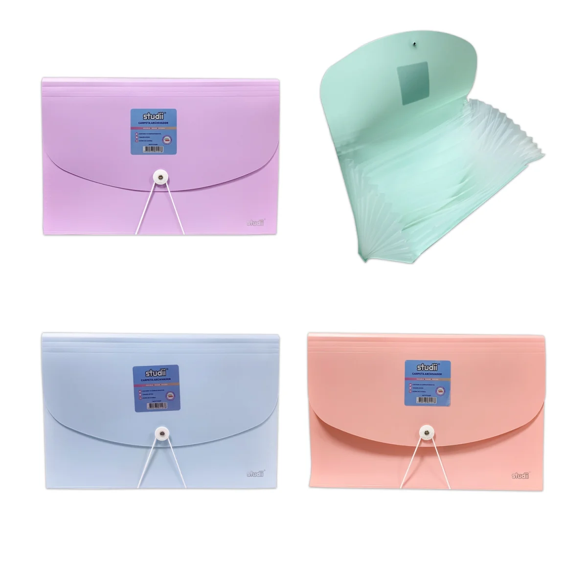 CARPETA ARCHIVADORA 13 COMPARTIMIENTOS OFICIO