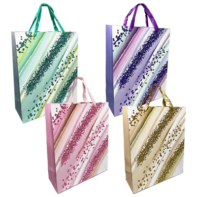 BOLSA REGALO GRADUADO 32*26*10CM (PQTX12)