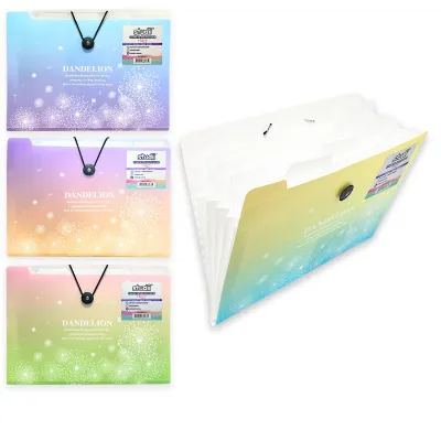 CARPETA 12 COMPARTIMENTOS