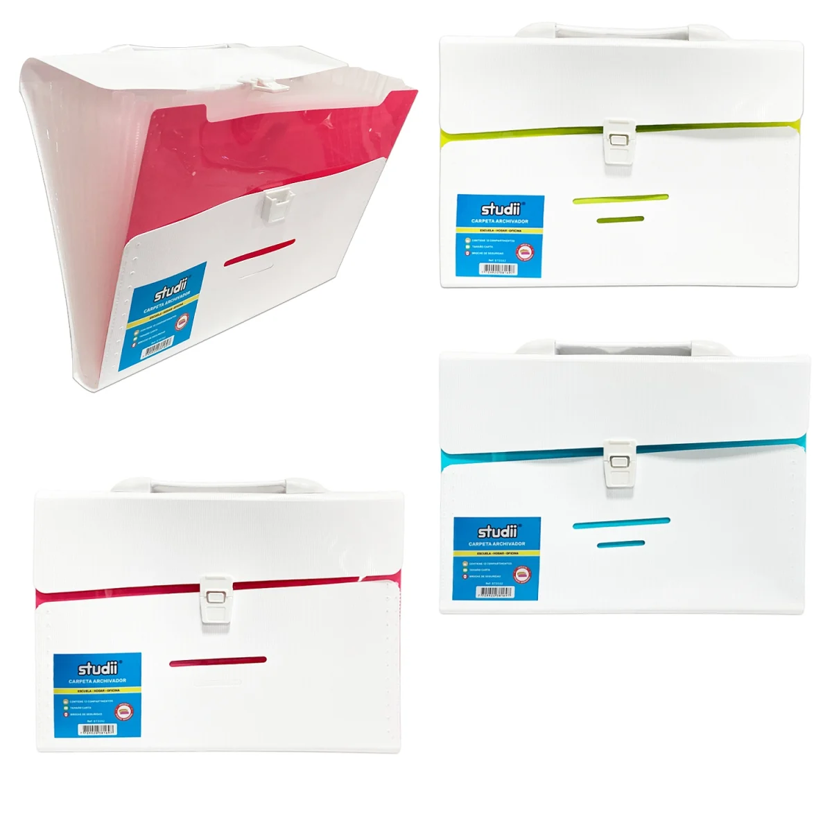 CARPETA 12 COMPARTIMENTOS A4