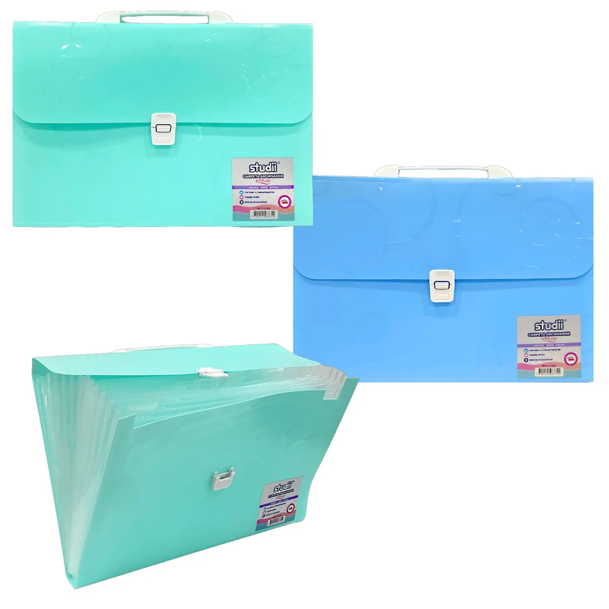 CARPETA 13 COMPARTIMENTOS (CJX15)