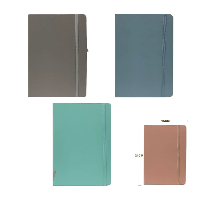 AGENDA LISA LINEA Y CUADROS