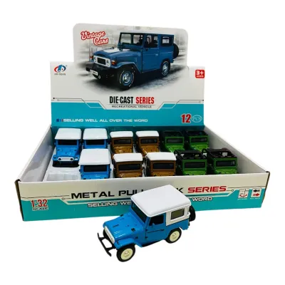 CARRO METALICO CAMPERO