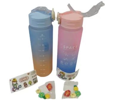TERMO CON STIKER Y PINES 850ML