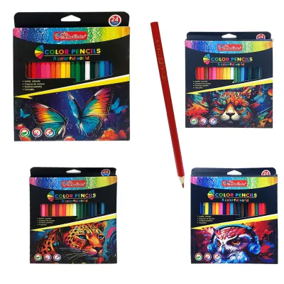 CAJA COLOR LARGO X24 (PQTX12)