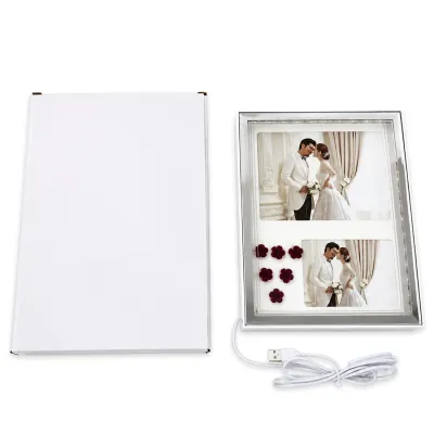 PORTARRETRATO CON LUZ 8" (USB)