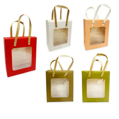 BOLSA REGALO COLORES 21*18*8.5CM (PQTX12)