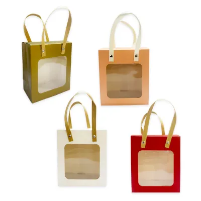 BOLSA REGALO COLORES 16.5*14.5*8CM (PQTX12)