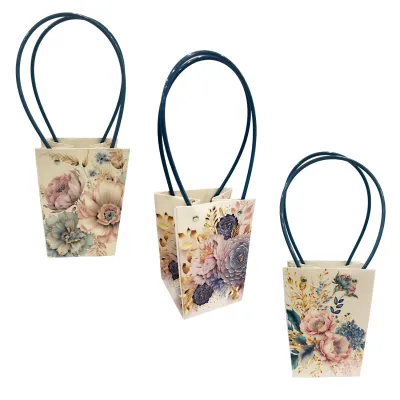 BOLSA REGALO TIPO BOLSO 13*9.5*15.5CM (PQTX10)