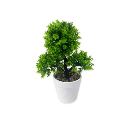 PLANTA ARTIFICIAL EN MATERA (CJX20)