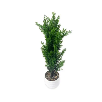 PLANTA ARTIFICIAL EN MATERA (CJX30)