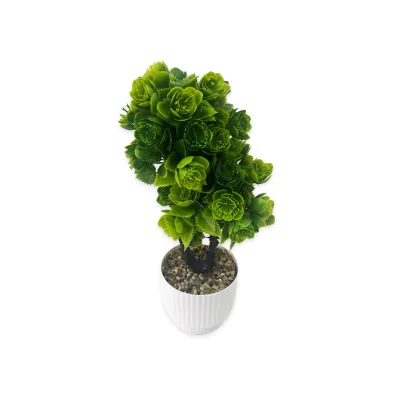 PLANTA ARTIFICIAL EN MATERA (CJX20)