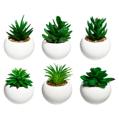 PLANTA ARTIFICIAL EN MATERA (CJX12)