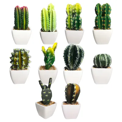 CACTUS ARTIFICIAL EN MATERA (CJX12)