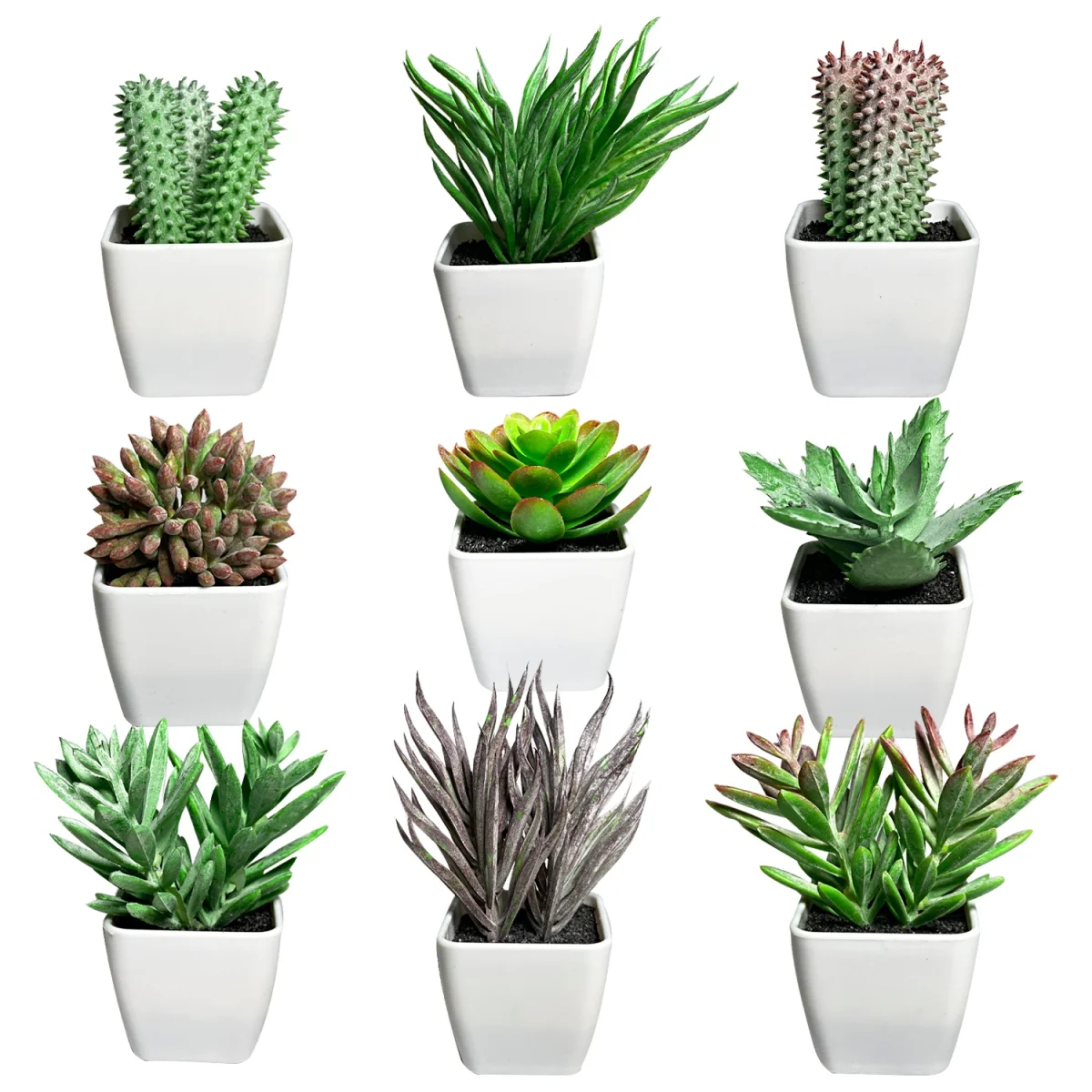 PLANTA ARTIFICIAL EN MATERA (CJX24)