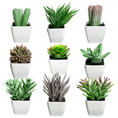PLANTA ARTIFICIAL EN MATERA (CJX24)