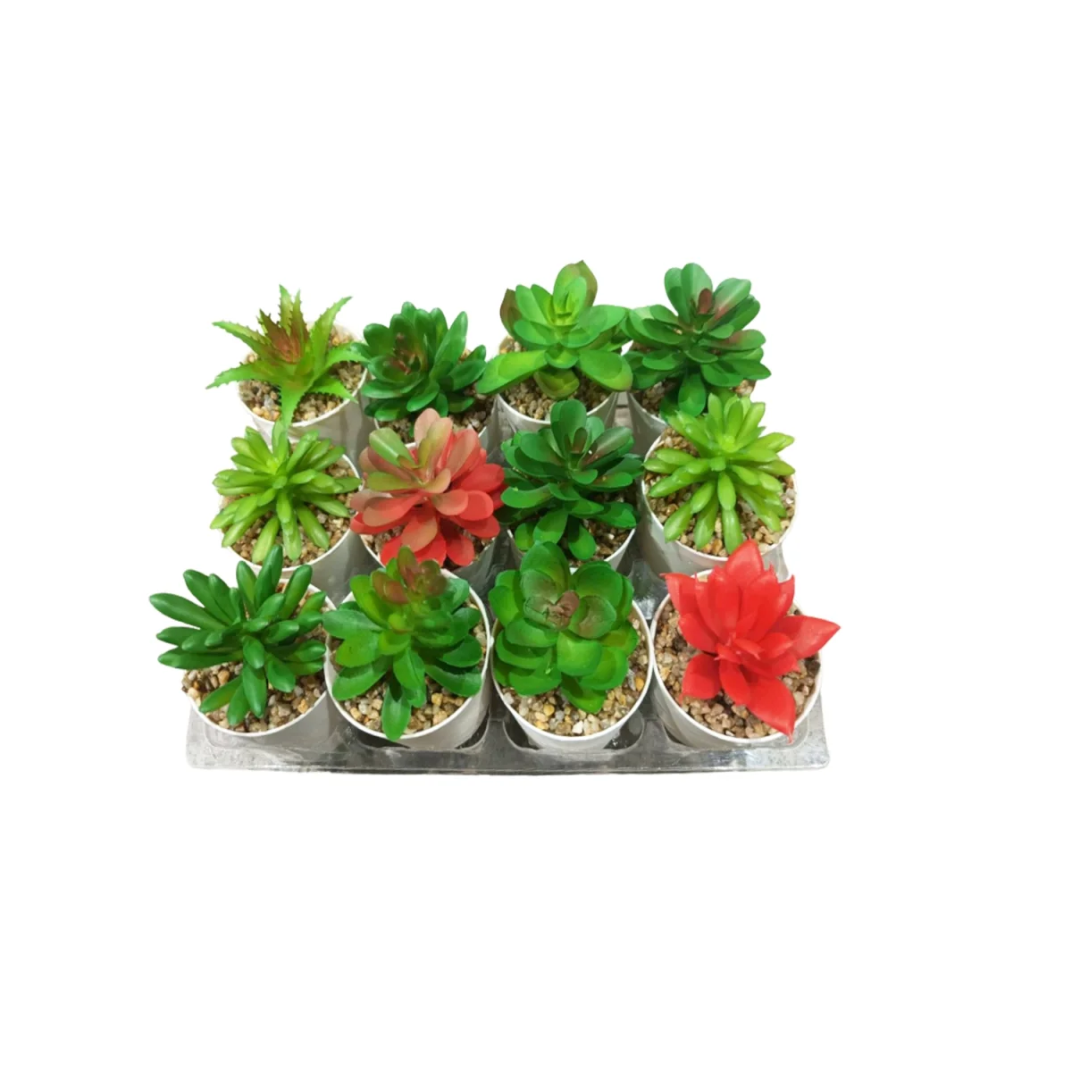 PLANTA ARTIFICIAL EN MATERA (CJX12)