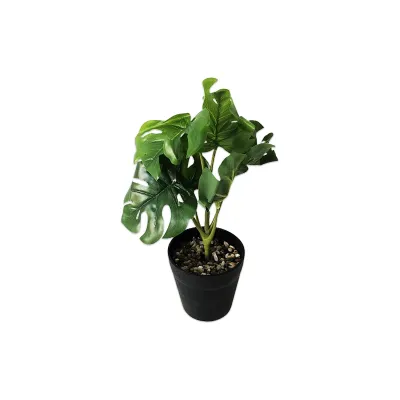 PLANTA ARTIFICIAL EN MATERA (CJX6)