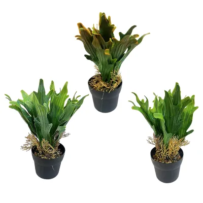 PLANTA ARTIFICIAL EN MATERA (CJX24)