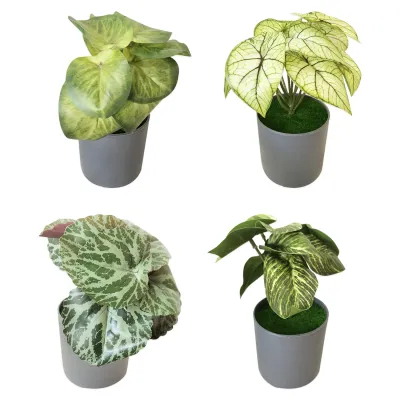 PLANTA ARTIFICIAL EN MATERA (CJX12)