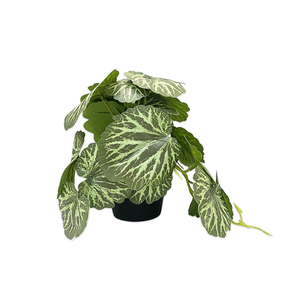 PLANTA ARTIFICIAL EN MATERA (CJX12)