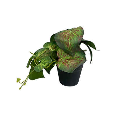 PLANTA ARTIFICIAL EN MATERA (CJX12)