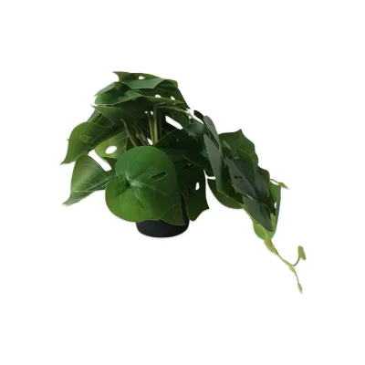 PLANTA ARTIFICIAL EN MATERA (CJX12)