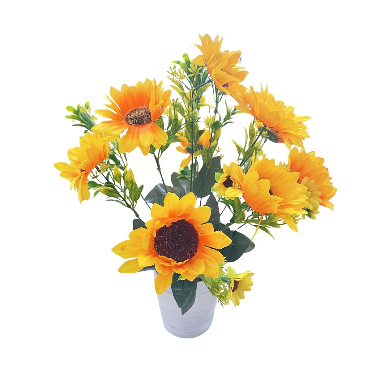 GIRASOL ARTIFICIAL EN MATERA,