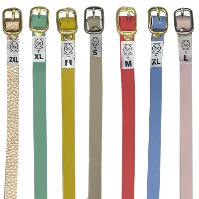 CORREA ECONOMICA SURTIDA COLORES (PQTX12)