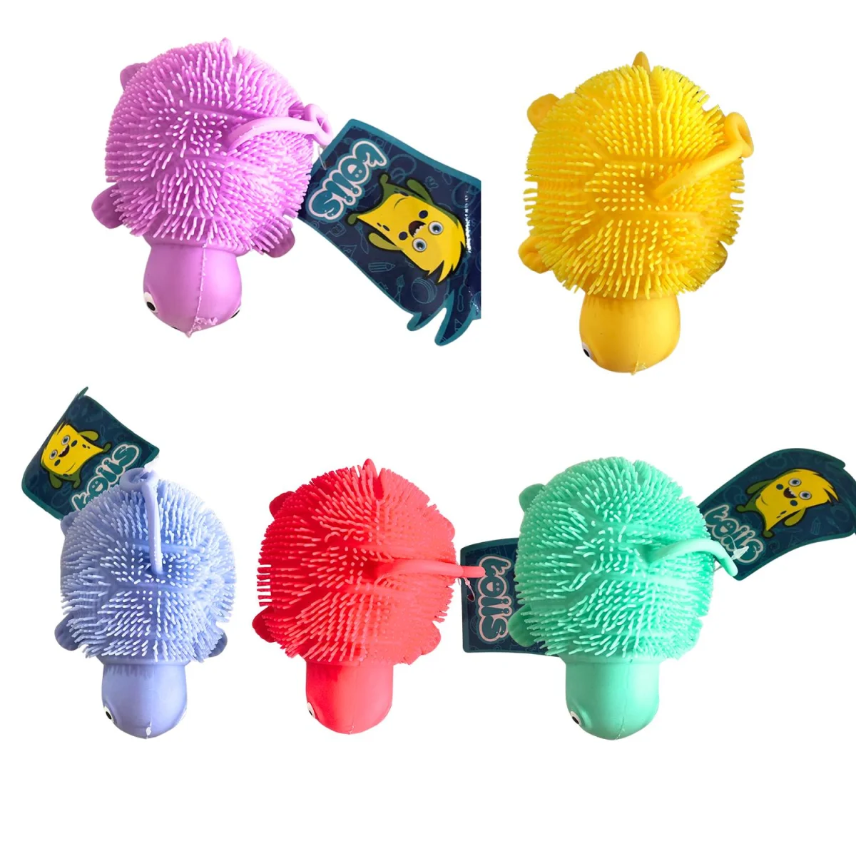 BOLITRON TORTUGA (CJX12)